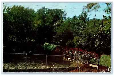 1955 Washington Park Many View At Zoo Michigan City Indiana IN Posted Postcard • $29.95