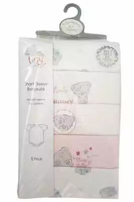 Me To You Tatty Ted Teddy Pink  Bodysuits Vests Underwear X 5 Age 3 6 9 12 18 24 • $15.14