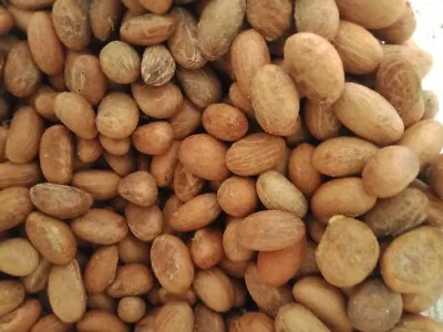  Organic Bitter Kola Nut (Garcinia Kola) 1LB- W/Africa • $25.99