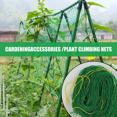 £5.89 • Buy Trellis Garden Climbing Net Mesh Plant-Support Plastic Green-Bean Cucumber Ropes