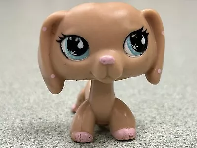 Littlest Pet Shop Tan Dachshund With Pink Polka Dots LPS #909 NO RESERVE • $104.50