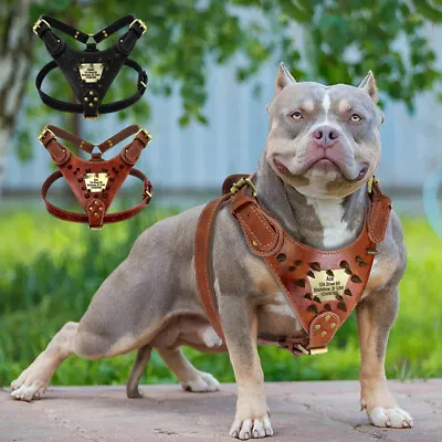 Personalised Dog Leather Harness Spiked Studded For Pitbull Rottweiler Boxer  • $42.89