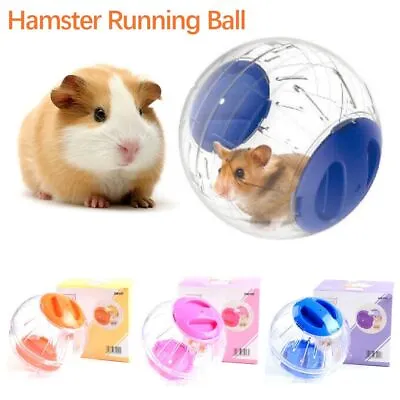 Rodent Mice Hamster Running Ball Small Pet Play Training Toy Exercise Toy • £6.11