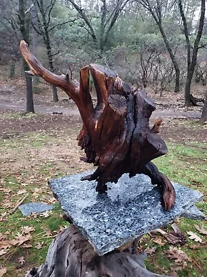 19 X 17 X 14  Manzanita Driftwood Large Stump Taxidermy Aquarium Aquascape Decor • $120