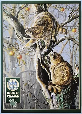 Cobble Hill Puzzle 1000 Pc Ringtail Raiders Jack Paluh Raccoons Forest Animal • $10.89