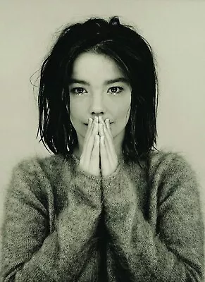 £13.95 • Buy Bjork Poster Wall Art - Choose Size - Framed Option 01