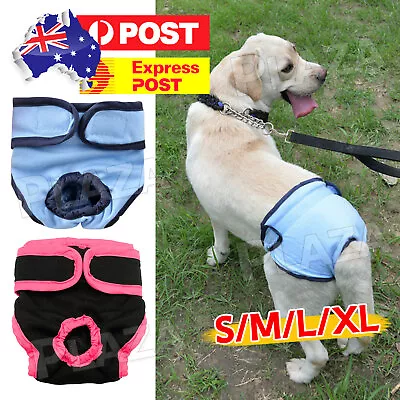 Female / Male Dog Puppy Nappy Diapers Belly Wrap Band Sanitary Underpants OZ • $7.25