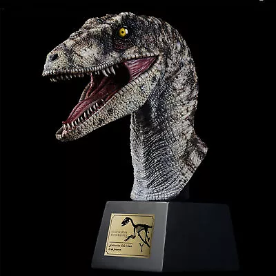 ITOY Velociraptor Antirrhopus Head Bust Dinosaur Model Collector Animal Toy Gift • $239.98
