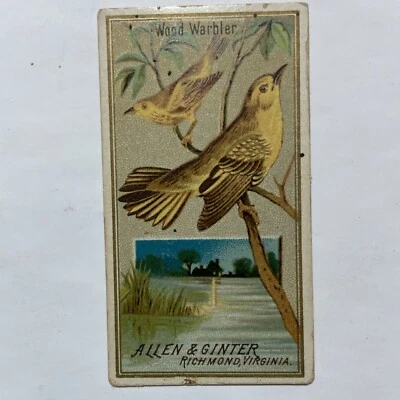 $10.95 • Buy Victorian Trade Card Allen & Ginter’s Cigarettes Warbler Bird Richmond VA A82