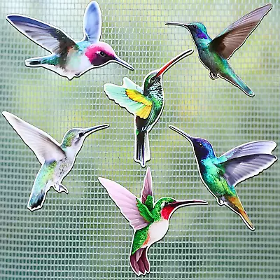 12 Pieces Humming Bird Screen Saver Magnets Decorative Flexible Double Sided Mag • $23.36