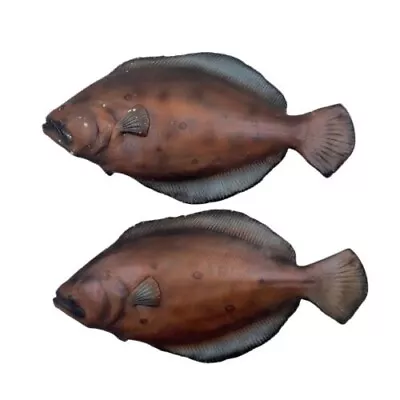 Vintage Flounder Fish Wall Hanging Chalkware Room Decor Nautical Set Of 2 • $149.99