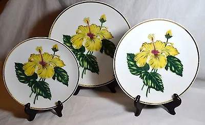 Vintage Rare Ucagco China Decorative Plates Gold Rim Occupied Japan Set Of 3 • $20.99