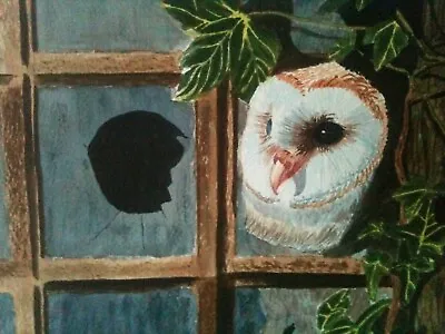 Owl - David Meadham - Fine Art Giclee Print • £40