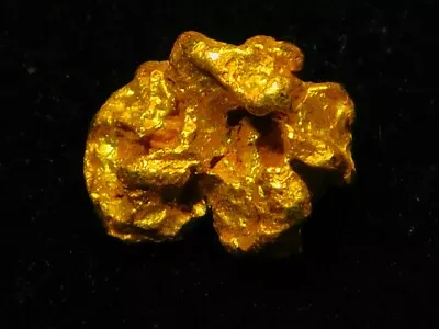 Top Shelf Australian Gold Nugget ( 0.91 Grams ) . VERY CLEAN. • $106.61