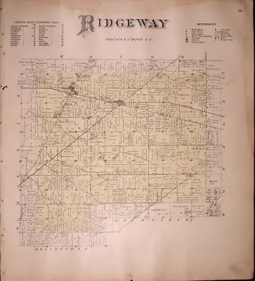 Old 1893 Plat Map RIDGEWAY Twp. LENAWEE Co. MICHIGAN - BRITTON LITTLE RAISIN • $45.95