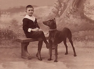 Doberman Pinscher And Boy Lovely Vintage Style Dog Greetings Note Card • $3.11