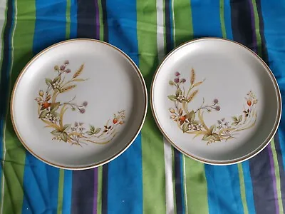 M&S Marks And Spencer Harvest DINNER PLATES X 2 27cm Excellent Condition. L3 • £16