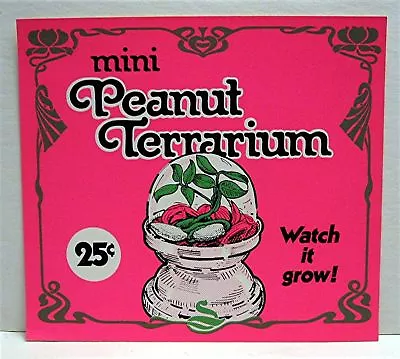 Vintage Mini Peanut Terrarium Gumball Vending Machine Toy Sign Old Store Stock • $11.99