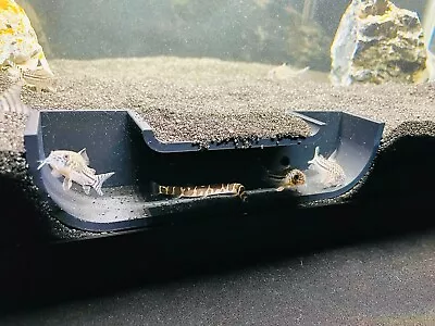 Aquarium Underground Cave Hide Fish Tank Decoration Kuhli Loach Cory Catfish • $19.99