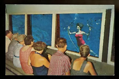 Florida FL Postcard Weeki Wachee Spring City Of Mermaids Women Greetings  • $3.99