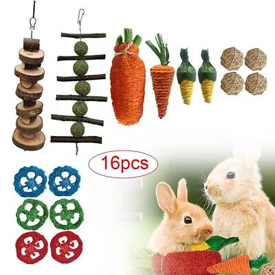 16X Chew Toys Set Rabbit Small Animal Teeth Care And Exercise Natural Wood Gift • £7.99