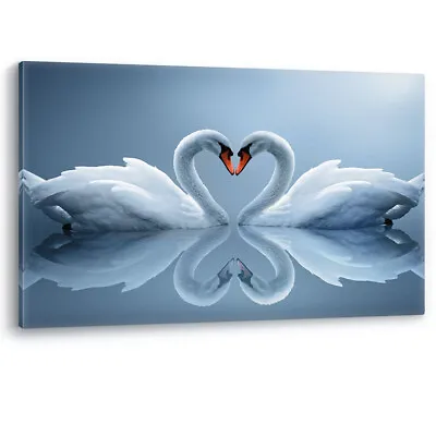 Swans In Love Heart Shaped Large Canvas Wall Art Picture Print • £59.95