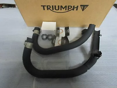 17-22 Triumph Bonneville Exhaust Header Pipes  BLACK • $399.99