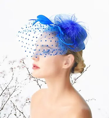 Royal Blue Feather Mesh Fascinator Hat Woman Headpiece Hair Clip Mini Top Party • $12.99