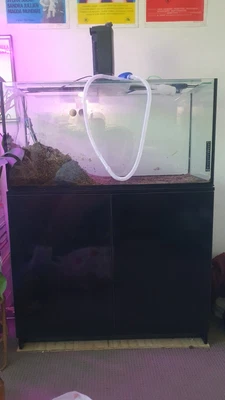 $400 • Buy 160L Fish Tank, Stand And Accessories