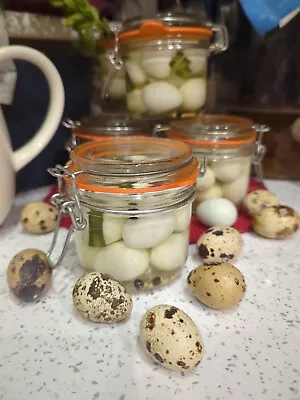 Pickled British 'free To Fly' Quail Eggs Sweet And Sour 🥚🥚🥚 ❤️ 🐦 • £3