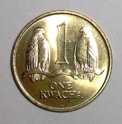 1992 Zambia Coin 1 Kwacha Taita Falcons On Branch Bird Animal Wildlife Africa • $1.49