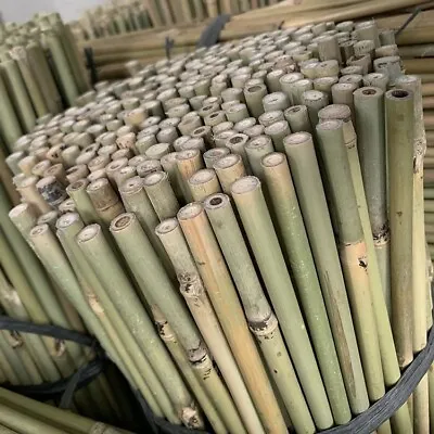 2FT 3FT 4FT 5FT 6FT Bamboo Garden Canes Stakes Poles Quality Plant Support Canes • £23.99