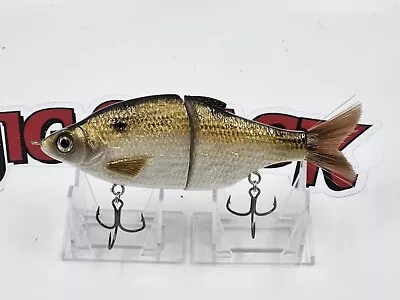 JIG SHACK 3D  Glide Bait  Hand Made Custom PAINTED 6 Inch Golden SHINER • $39