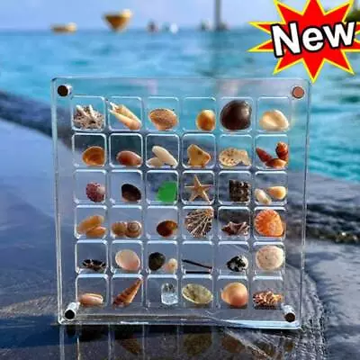 Acrylic Magnetic Seashell Display Box Clear Gemstone Beads Storage Display Box. • $22.09