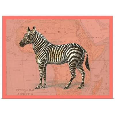 African Animals On Coral IV Poster Art Print Zebra Home Decor • $29.99