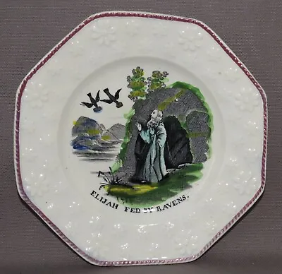 £25 • Buy Staffordshie Pearlware Elijah Fed By Ravens Child's Daisy Border Plate 1820s