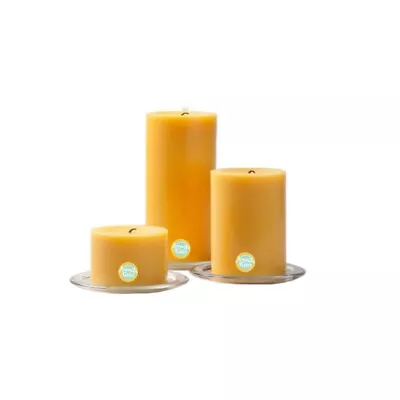 Bosco Pond Pillar Round Candle Set Of 3 With Tray Stand: Serene Diwali Décor • $27.01