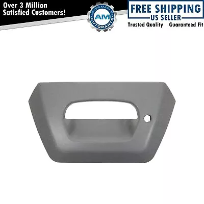 Tailgate Tail Gate Bezel Gray Textured Lock Provision For 02-06 Chevy Avalanche • $23.31