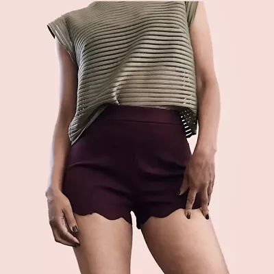 Urban Outfitters Shorts Womens Sz S Purple Plum Stretch Knit Mini Scalloped Hem • $18.99