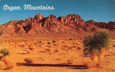 Postcard Organ Mountains New Mexico • $4.85