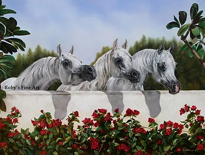 3 Arabian Mares  The Line Up  Horse Art Print 8  X 10  Equine Image By Roby Baer • $21.95