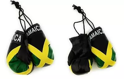 Hanging Car Mirror Mini Boxing Gloves () Jamaica • $13.31