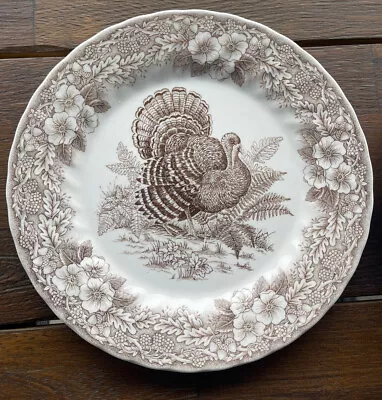 Set 2 Queens Myott Thanksgiving Turkey 10  Dinner Plates Light Brown • $88