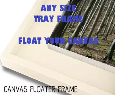 £39 • Buy Any Size Tray Picture Frame - Floating Stretched Canvas Or Raised Canvas Board