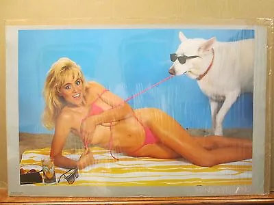 Vintage 1987 Man's Best Friend Sam Maxwell Original Hot Girl Poster 12014 • $39.97