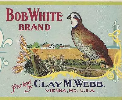 Original Unused Bob White Stringless Beans Vintage Tin Can Label Vienna Md. • $3.09