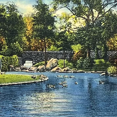 Vintage Hagerstown MD Linen Postcard City Park Entrance Bridge Scene Unposted • $3.35