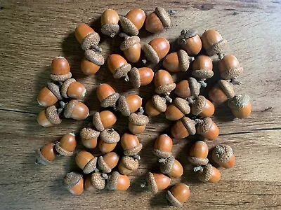 Acorns Red Oak 50 Count • $21.95