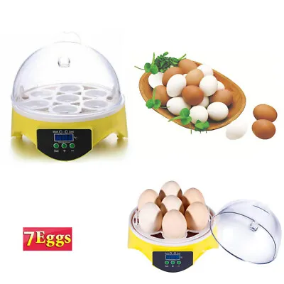 Portable Chicken Poultry Hatcher 7 Egg Incubator Automatic Temperature Control • £24.99