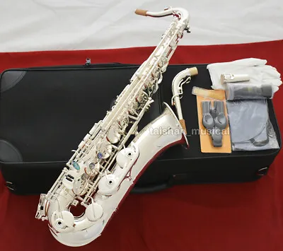 Professional Silver C Melody Saxophone With 2 Necks FREE SHIPPING • $950